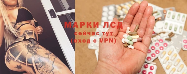 гидра Липки