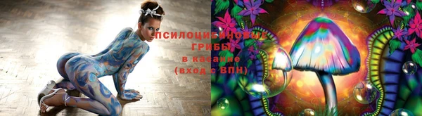 метадон Лабытнанги