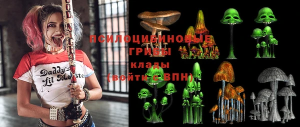 гидра Липки