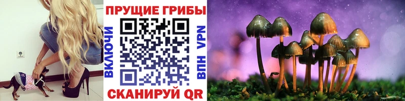 дарнет шоп  Саяногорск  Псилоцибиновые грибы мухоморы 