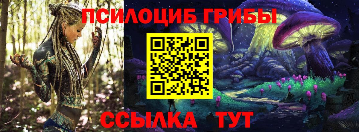 Псилоцибиновые грибы Magic Shrooms Саяногорск